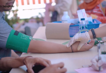 HUT ke-55, Bank Bengkulu Gelar Donor Darah untuk Umum Bersama PMI